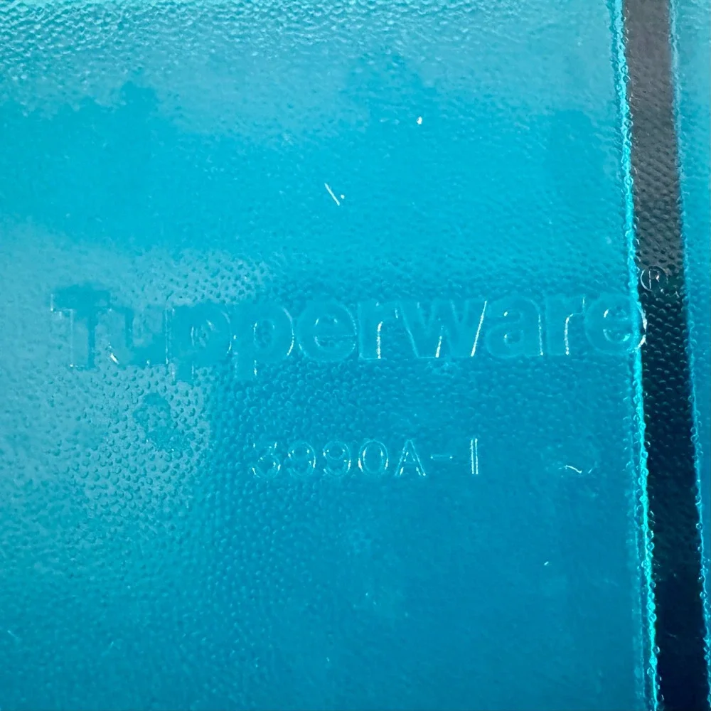 Tupperware Vent N Serve Divided Microwave Dish Peacock 3990A-1 Steam Vent
